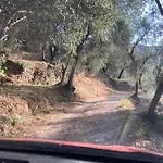 Bella ואסיה