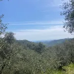 Bella ואסיה